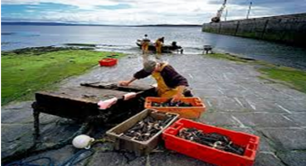 Farming and Fishing on the Isles of Aran